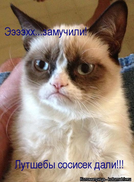 Ээээхх...замучили! Лутшебы сосисек дали!!!... Котоматрица: Ээээхх...замучили! Лутшебы сосисек дали!!!