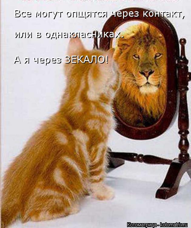 Все могут опщятся через контакт, или в однакласниках. А я через ЗЕКАЛО!... Котоматрица: Все могут опщятся через контакт, или в однакласниках. А я через ЗЕКАЛО!