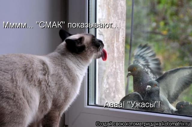 Мммм... "СМАК" показывают... Аааа! "Ужасы"!... Котоматрица: Мммм... "СМАК" показывают... Аааа! "Ужасы"!