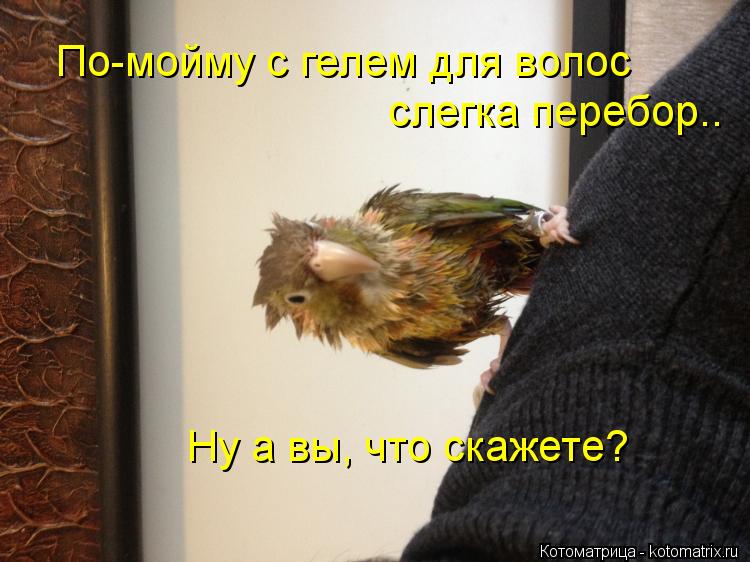 По-мойму с гелем для волос слегка перебор.. Ну а вы, что скажете?... Котоматрица: По-мойму с гелем для волос слегка перебор.. Ну а вы, что скажете?