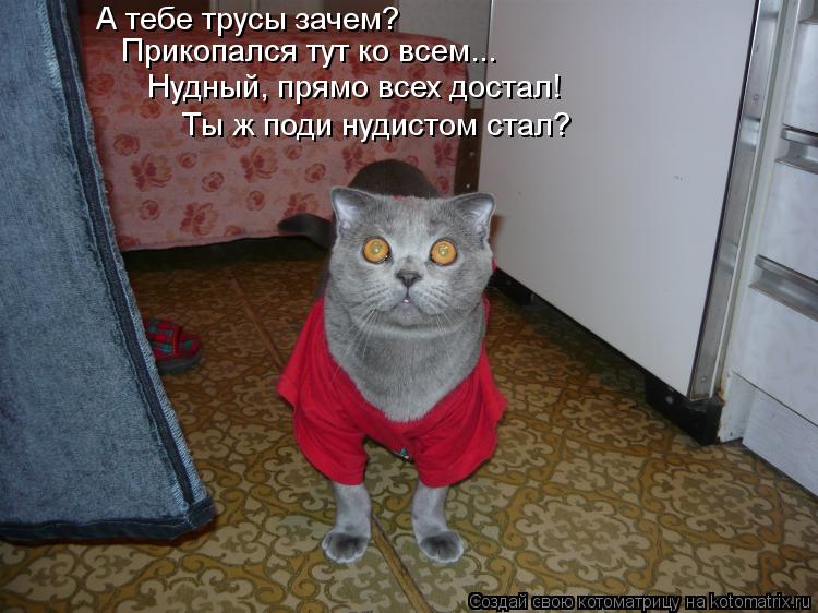 А тебе трусы зачем? Прикопался тут ко всем... Нудный, прямо всех достал! Ты ж поди нудистом стал?... Котоматрица: А тебе трусы зачем? Прикопался тут ко всем... Нудный, прямо всех достал! Ты ж поди нудистом стал?