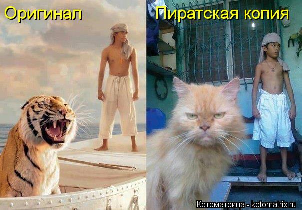 Оригинал Пиратская копия... Котоматрица: Оригинал Пиратская копия