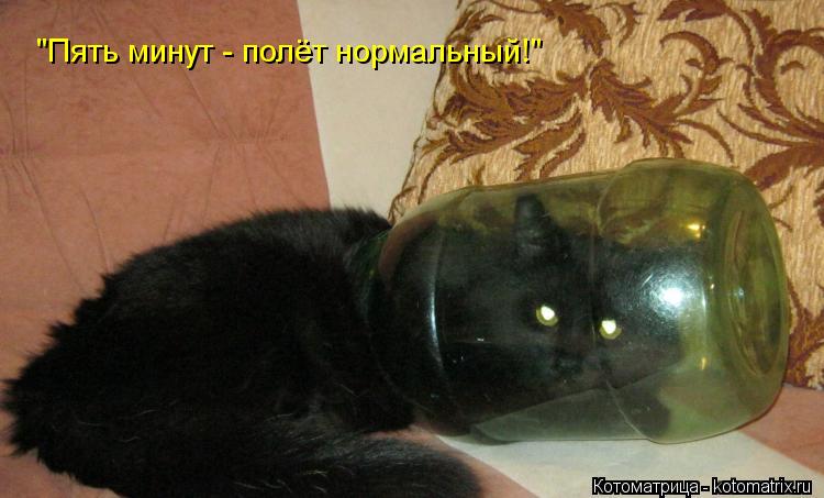 "Пять минут - полёт нормальный!"... Котоматрица: "Пять минут - полёт нормальный!"