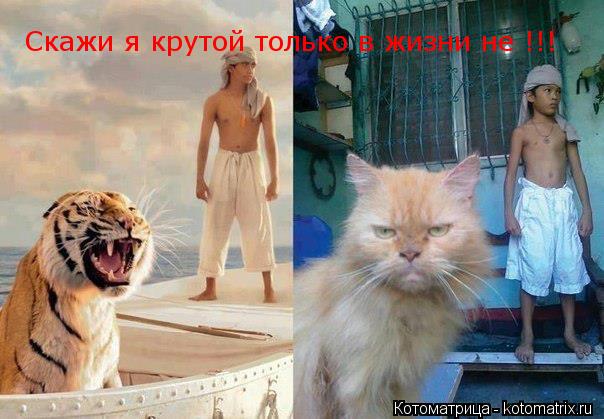 Скажи я крутой только в жизни не !!!... Котоматрица: Скажи я крутой только в жизни не !!!