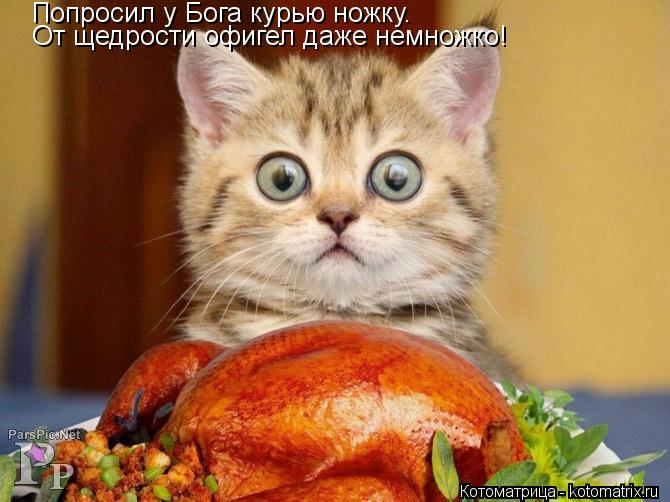 Попросил у Бога курью ножку. От щедрости офигел даже немножко!... Котоматрица: Попросил у Бога курью ножку. От щедрости офигел даже немножко!