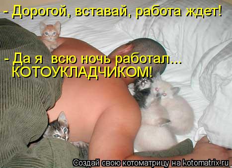 - Дорогой, вставай, работа ждет! - Да я всю ночь работал... КОТОУКЛАДЧИКОМ!... Котоматрица: - Дорогой, вставай, работа ждет! - Да я всю ночь работал... КОТОУКЛАДЧИКОМ!