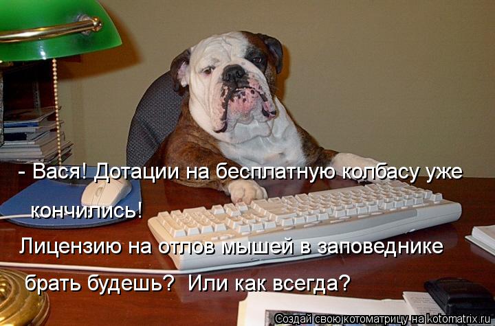 - Вася! Дотации на бесплатную колбасу уже кончились! Лицензию на отлов мышей в заповеднике брать бу... Котоматрица: - Вася! Дотации на бесплатную колбасу уже кончились! Лицензию на отлов мышей в заповеднике брать будешь? Или как всегда?