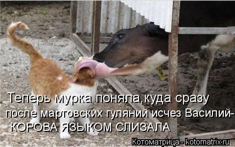 Теперь мурка поняла,куда сразу после мартовских гуляний исчез Василий- КОРОВА ЯЗЫКОМ СЛИЗАЛА... Котоматрица: Теперь мурка поняла,куда сразу после мартовских гуляний исчез Василий- КОРОВА ЯЗЫКОМ СЛИЗАЛА