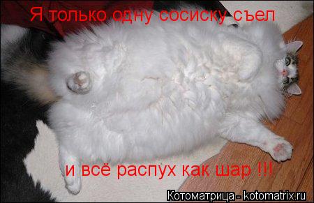 Я только одну сосиску съел и всё распух как шар !!!... Котоматрица: Я только одну сосиску съел и всё распух как шар !!!