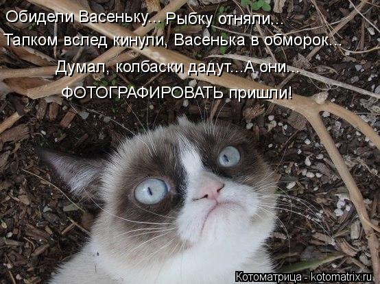 Обидели Васеньку... Рыбку отняли... Тапком вслед кинули, Васенька в обморок... ФОТОГРАФИРОВАТЬ пришли... Котоматрица: Обидели Васеньку... Рыбку отняли... Тапком вслед кинули, Васенька в обморок... ФОТОГРАФИРОВАТЬ пришли! Думал, колбаски дадут...А они...