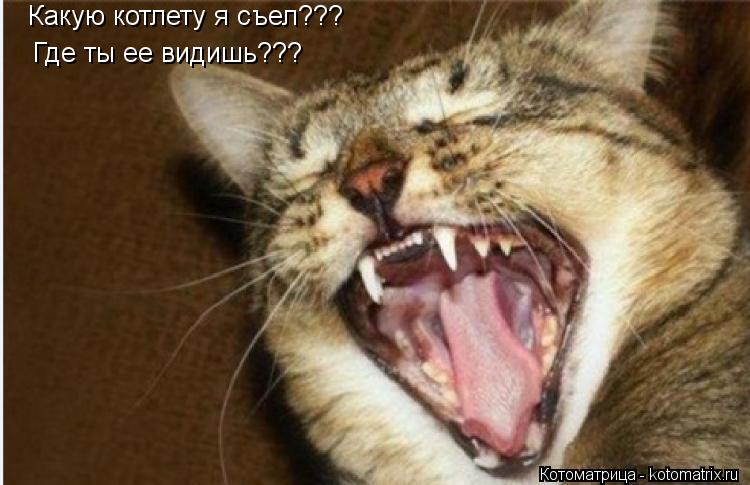 Какую котлету я съел??? Где ты ее видишь???... Котоматрица: Какую котлету я съел??? Где ты ее видишь???