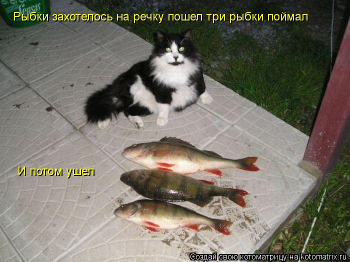 Рыбки захотелось на речку пошел три рыбки поймал И потом ушел... Котоматрица: Рыбки захотелось на речку пошел три рыбки поймал И потом ушел