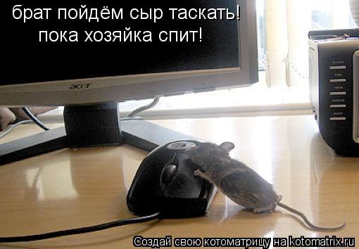 брат пойдём сыр таскать! пока хозяйка спит!... Котоматрица: брат пойдём сыр таскать! пока хозяйка спит!