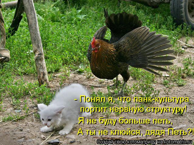 - Понял я, что панк-культура портит нервную структуру! Я не буду больше петь, А ты не клюйся, дядя Пе... Котоматрица: - Понял я, что панк-культура портит нервную структуру! Я не буду больше петь, А ты не клюйся, дядя Петь?!