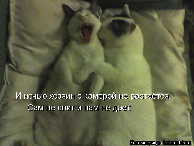 Котоматрица: И ночью хозяин с камерой не растаётся. Сам не спит и нам не дает.