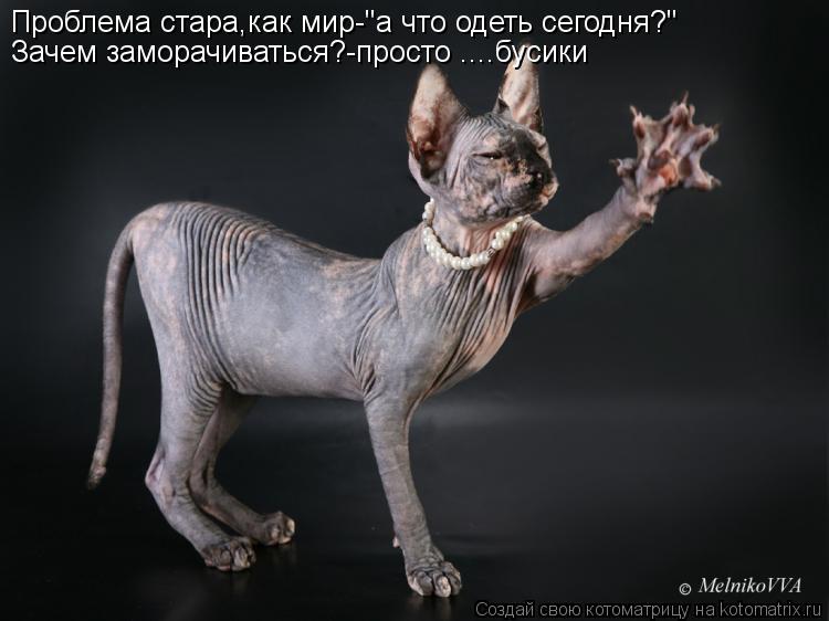 Проблема стара,как мир-"а что одеть сегодня?" Зачем заморачиваться?-просто ....бусики... Котоматрица: Проблема стара,как мир-"а что одеть сегодня?" Зачем заморачиваться?-просто ....бусики