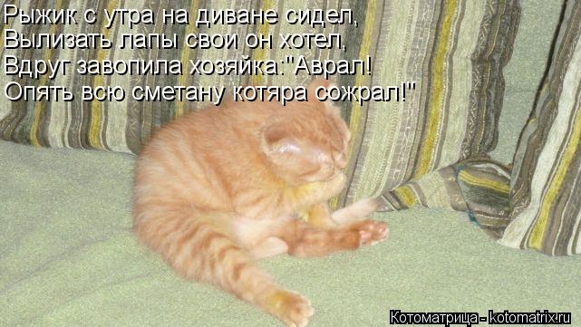 Рыжик с утра на диване сидел, Вылизать лапы свои он хотел, Вдруг завопила хозяйка:"Аврал! Опять всю с... Котоматрица: Рыжик с утра на диване сидел, Вылизать лапы свои он хотел, Вдруг завопила хозяйка:"Аврал! Опять всю сметану котяра сожрал!"