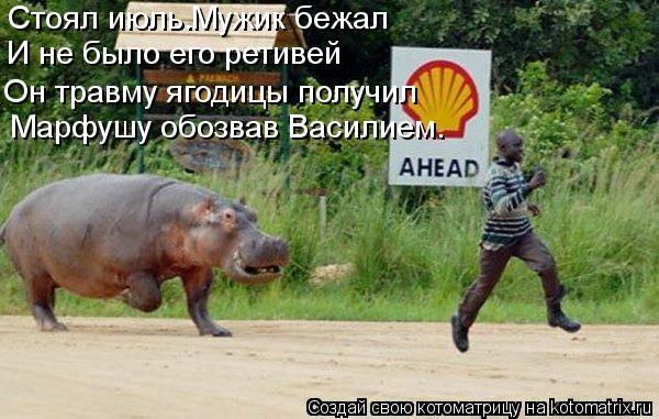 Стоял июль.Мужик бежал Он травму ягодицы получил Марфушу обозвав Василием. И не было его ретивей... Котоматрица: Стоял июль.Мужик бежал Он травму ягодицы получил Марфушу обозвав Василием. И не было его ретивей
