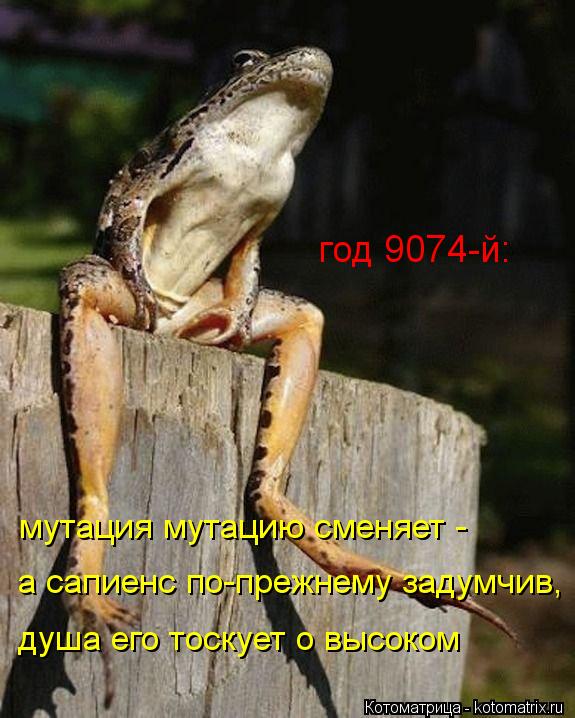 год 9074-й: мутация мутацию сменяет - а сапиенс по-прежнему задумчив, душа его тоскует о высоком... Котоматрица: год 9074-й: мутация мутацию сменяет - а сапиенс по-прежнему задумчив, душа его тоскует о высоком