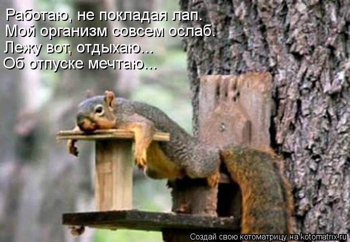 Лежу вот, отдыхаю... Об отпуске мечтаю... Мой организм совсем ослаб. Работаю, не покладая лап.... Котоматрица: Лежу вот, отдыхаю... Об отпуске мечтаю... Мой организм совсем ослаб. Работаю, не покладая лап.