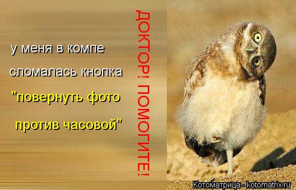 ДОКТОР! ПОМОГИТЕ! у меня в компе сломалась кнопка "повернуть фото против часовой"... Котоматрица: ДОКТОР! ПОМОГИТЕ! у меня в компе сломалась кнопка "повернуть фото против часовой"