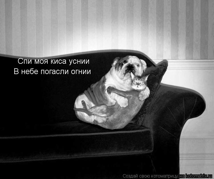 Спи моя киса уснии В небе погасли огнии... Котоматрица: Спи моя киса уснии В небе погасли огнии