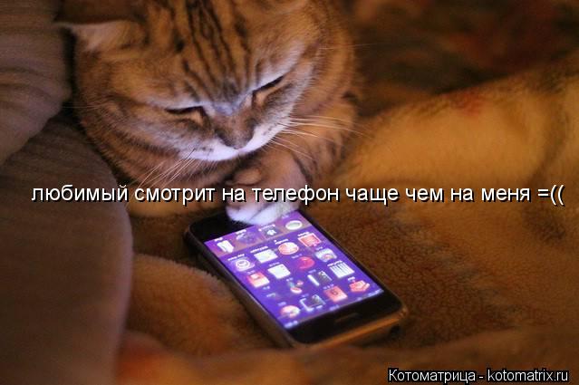 любимый смотрит на телефон чаще чем на меня =(( любимый смотрит на телефон чаще чем на меня =(( люб... Котоматрица: любимый смотрит на телефон чаще чем на меня =(( любимый смотрит на телефон чаще чем на меня =(( любимый смотрит на телефон чаще чем на меня =((