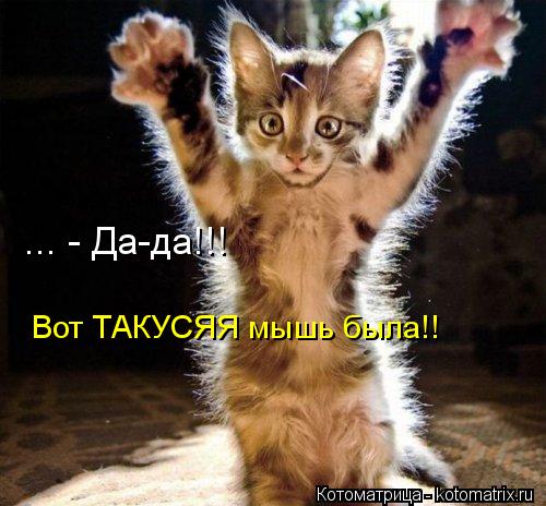 ... - Да-да!!! Вот ТАКУСЯЯ мышь была!!... Котоматрица: ... - Да-да!!! Вот ТАКУСЯЯ мышь была!!