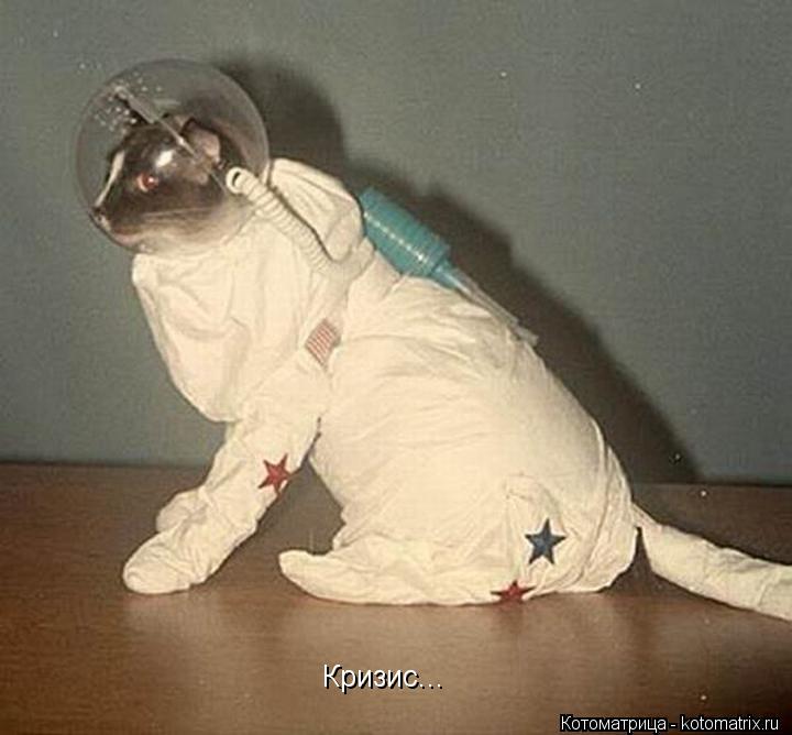 Котоматрица: Кризис...