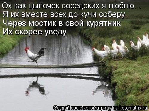 Ох как цыпочек соседских я люблю... Я их вместе всех до кучи соберу Через мостик в свой курятник Их с... Котоматрица: Ох как цыпочек соседских я люблю... Я их вместе всех до кучи соберу Через мостик в свой курятник Их скорее уведу