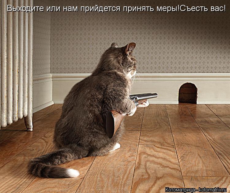 Выходите или нам прийдется принять меры!Съесть вас!... Котоматрица: Выходите или нам прийдется принять меры!Съесть вас!