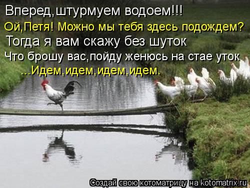 Вперед,штурмуем водоем!!! Ой,Петя! Можно мы тебя здесь подождем? Тогда я вам скажу без шуток Что брош... Котоматрица: Вперед,штурмуем водоем!!! Ой,Петя! Можно мы тебя здесь подождем? Тогда я вам скажу без шуток Что брошу вас,пойду женюсь на стае уток ...Идем,иде