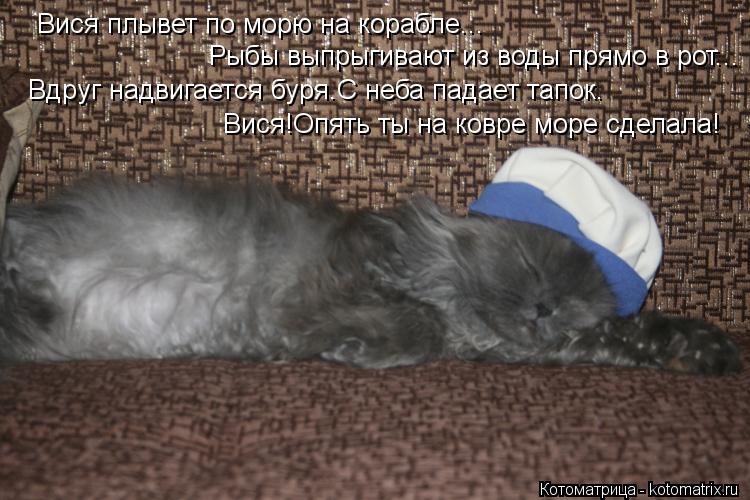 Вися плывет по морю на корабле... Рыбы выпрыгивают из воды прямо в рот... Вдруг надвигается буря.С не... Котоматрица: Вися плывет по морю на корабле... Рыбы выпрыгивают из воды прямо в рот... Вдруг надвигается буря.С неба падает тапок. Вися!Опять ты на ковре мо