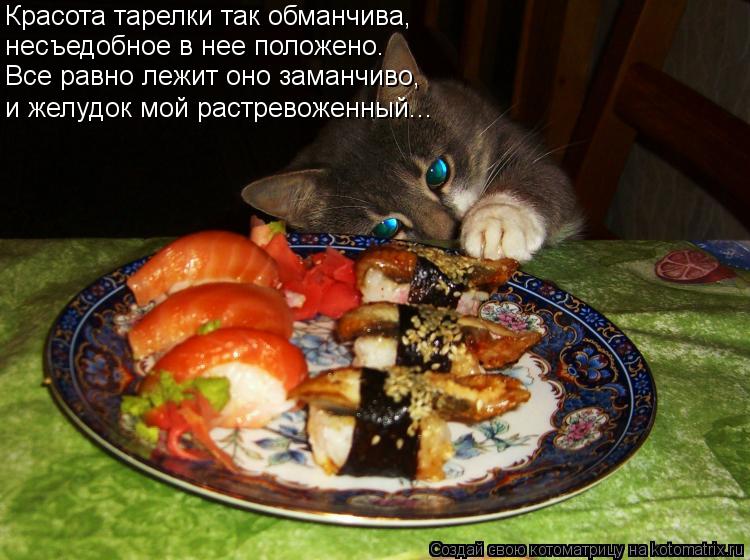 Красота тарелки так обманчива, несъедобное в нее положено. и желудок мой растревоженный... Все равно ... Котоматрица: Красота тарелки так обманчива, несъедобное в нее положено. и желудок мой растревоженный... Все равно лежит оно заманчиво,