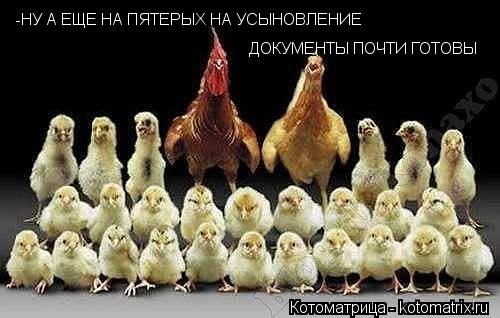 -НУ А ЕЩЕ НА ПЯТЕРЫХ НА УСЫНОВЛЕНИЕ ДОКУМЕНТЫ ПОЧТИ ГОТОВЫ... Котоматрица: -НУ А ЕЩЕ НА ПЯТЕРЫХ НА УСЫНОВЛЕНИЕ ДОКУМЕНТЫ ПОЧТИ ГОТОВЫ