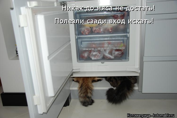 Никак до мяса не достать! Полезли сзади вход искать!... Котоматрица: Никак до мяса не достать! Полезли сзади вход искать!