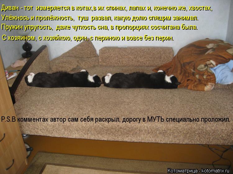 Котоматрица: Диван - тот  измеряется в котах,в их спинах, лапах и, конечно же, хвостах, Улёжнось и пролёжность,  туш  развал, какую долю спящим занимал. Пруж