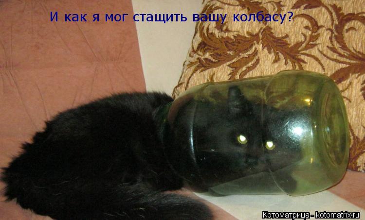 И как я мог стащить вашу колбасу?... Котоматрица: И как я мог стащить вашу колбасу?