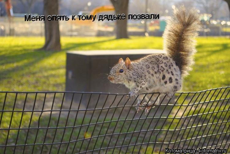 Меня опять к тому дядьке позвали Меня опять к тому дядьке позвали... Котоматрица: Меня опять к тому дядьке позвали Меня опять к тому дядьке позвали
