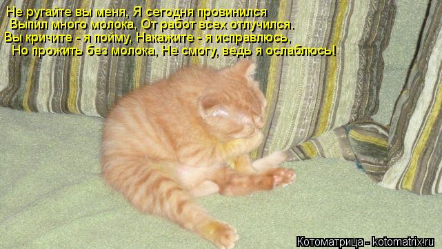Не ругайте вы меня, Я сегодня провинился Выпил много молока, От работ всех отлучился. Вы кричите - ... Котоматрица: Не ругайте вы меня, Я сегодня провинился Выпил много молока, От работ всех отлучился. Вы кричите - я пойму, Накажите - я исправлюсь, Но прожи