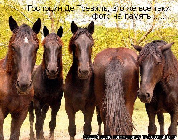 Котоматрица: фото на память...... - Господин Де Тревиль, это же все таки