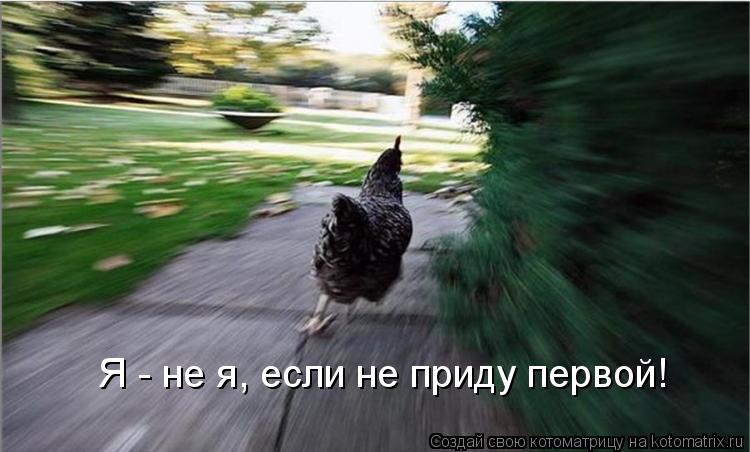 Я - не я, если не приду первой!... Котоматрица: Я - не я, если не приду первой!