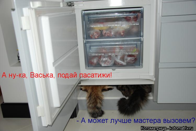 А ну-ка, Васька, подай пасатижи! - А может лучше мастера вызовем?... Котоматрица: А ну-ка, Васька, подай пасатижи! - А может лучше мастера вызовем?