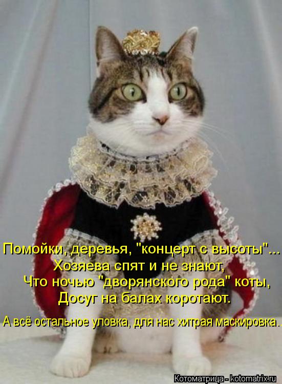 Помойки, деревья, "концерт с высоты"... Хозяева спят и не знают, Что ночью "дворянского рода" коты, Д... Котоматрица: Помойки, деревья, "концерт с высоты"... Хозяева спят и не знают, Что ночью "дворянского рода" коты, Досуг на балах коротают. А всё остальное уло