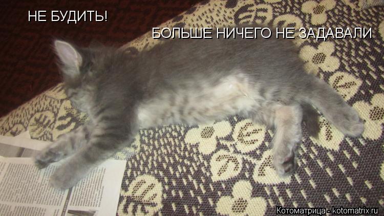 НЕ БУДИТЬ! БОЛЬШЕ НИЧЕГО НЕ ЗАДАВАЛИ... Котоматрица: НЕ БУДИТЬ! БОЛЬШЕ НИЧЕГО НЕ ЗАДАВАЛИ