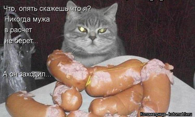 Что, опять скажешь что я? Никогда мужа в расчет не берет... А он заходил...... Котоматрица: Что, опять скажешь что я? Никогда мужа в расчет не берет... А он заходил...