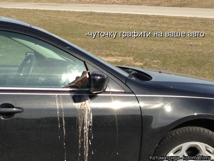 -чуточку графити на ваше авто... Котоматрица: -чуточку графити на ваше авто