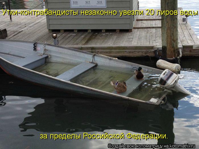 Утки-контрабандисты незаконно увезли 20 лиров воды. за пределы Российской Федерации.... Котоматрица: Утки-контрабандисты незаконно увезли 20 лиров воды. за пределы Российской Федерации.