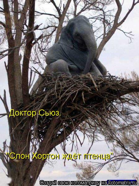 Доктор Сьюз. "Слон Хортон ждёт птенца"... Котоматрица: Доктор Сьюз. "Слон Хортон ждёт птенца"