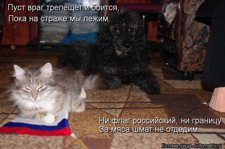 Пуст враг трепещет и боится, Пока на страже мы лежим, Ни флаг российский, ни границу За мяса шмат не ... Котоматрица: Пуст враг трепещет и боится, Пока на страже мы лежим, Ни флаг российский, ни границу За мяса шмат не отдадим.